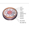 馈线光缆GYTS