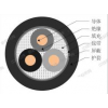 ZCN-DJVPV  0.3/0.5kV计算机电缆