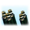 氟塑料绝缘计算机系统用高温测控电缆