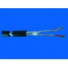 IEEE 1394