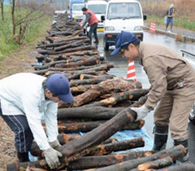 QQ截图20141215100432