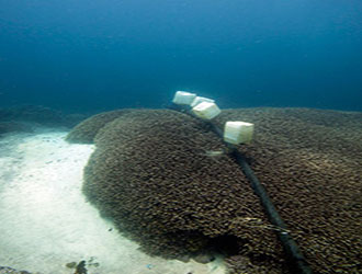 QQ截图20150319165908